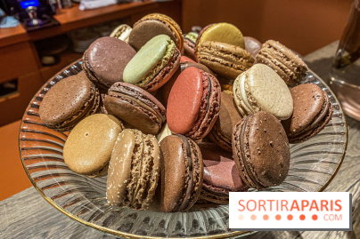 La Café Pavane par Manon Hévin