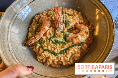 That’s Life, le restaurant signé Jean-Michel Wilmotte