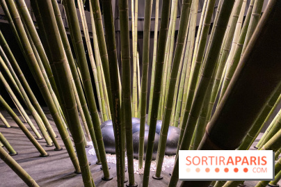 Black Bamboo de Nils-Udo à la Fondation EDF