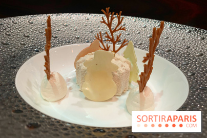 Atelier Robuchon - Truffe noire 