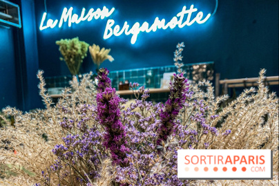 Bergamotte Kinfolk, la nouvelle collection de fleurs séchées naturellement visuel