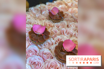 Pâtisseries véganes signée Pierre Hermé x La Maison du Chocolat