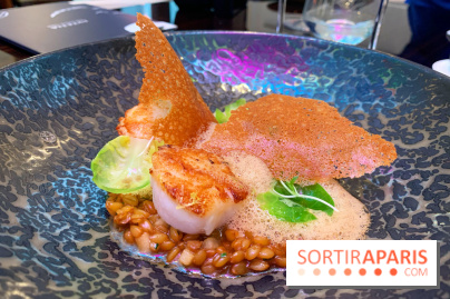 Saint-Germain - Lutetia 