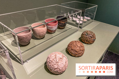 Les contes étranges de Niels Hansen Jacobsen au Musée Bourdelle, les photos