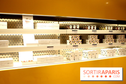 L'Eclair de Génie by Christophe Adam