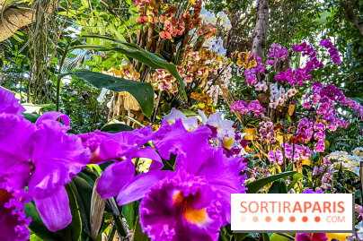 Exposition Mille et une Orchidées 2020 au Jardin des Plantes - les photos
