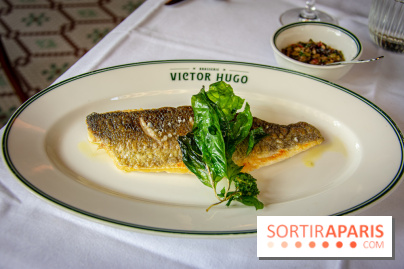 Le renouveau de la Brasserie Victor Hugo à Paris , les photos