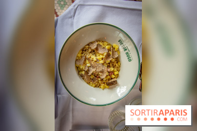 Le renouveau de la Brasserie Victor Hugo à Paris , les photos