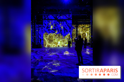 Yves Klein, l’Infini Bleu -  l’album photo