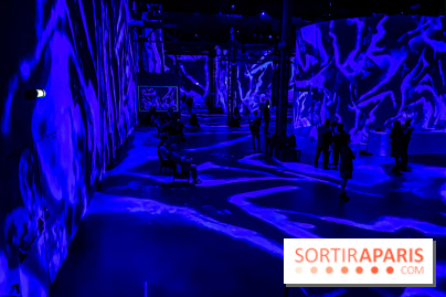 Yves Klein, l’Infini Bleu -  l’album photo