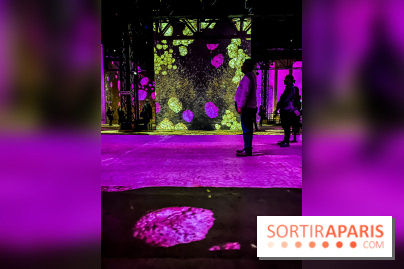 Yves Klein, l’Infini Bleu -  l’album photo