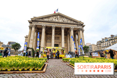 Une Jonquille pour Curie au Panthéon