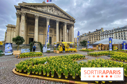 Une Jonquille pour Curie au Panthéon