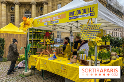 Une Jonquille pour Curie au Panthéon