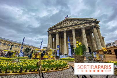 Une Jonquille pour Curie au Panthéon