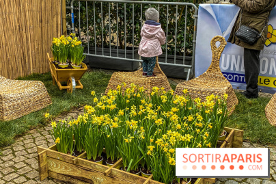 Une Jonquille pour Curie au Panthéon