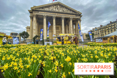 Une Jonquille pour Curie au Panthéon