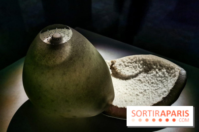 Rachel Rose, l'exposition gratuite à Lafayette Anticipations