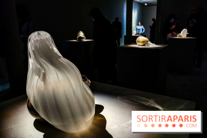 Rachel Rose, l'exposition gratuite à Lafayette Anticipations