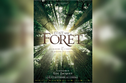 Il était une forêt