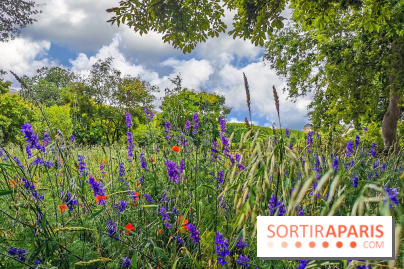Visuel Paris Jardin des Plantes - Muséum MNHN