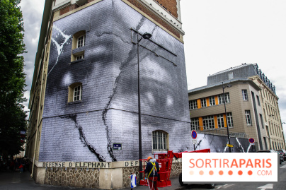 Hommage à Adama Traoré : l'artiste JR dévoile un collage géant à Paris, les photos