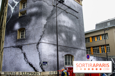 Hommage à Adama Traoré : l'artiste JR dévoile un collage géant à Paris, les photos