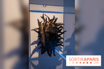 Araignées, Lucioles et Papillons au Musée en Herbe : nos photos