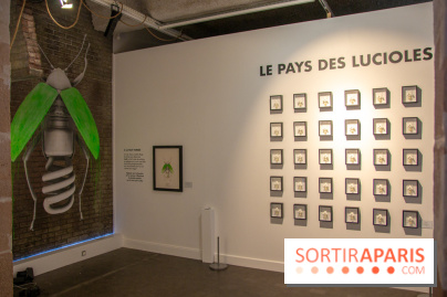 Araignées, Lucioles et Papillons au Musée en Herbe : nos photos