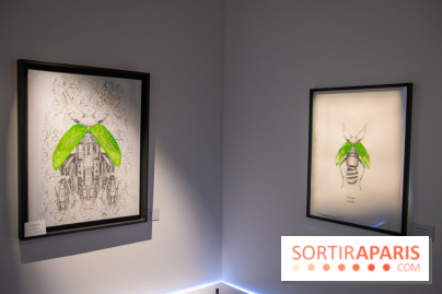 Araignées, Lucioles et Papillons au Musée en Herbe : nos photos