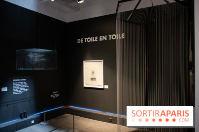 Araignées, Lucioles et Papillons au Musée en Herbe : nos photos