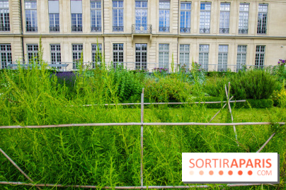 Le jardin des Arts-Albert Schweitzer à Paris, les photos