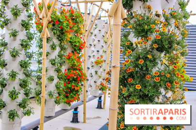 Le Perchoir ferme urbaine Porte de Versailles