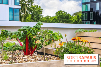 Le Perchoir ferme urbaine Porte de Versailles