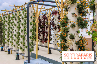 Le Perchoir ferme urbaine Porte de Versailles