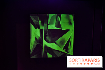 Vision d'ensemble, l'exposition à Fluctuart - nos photos