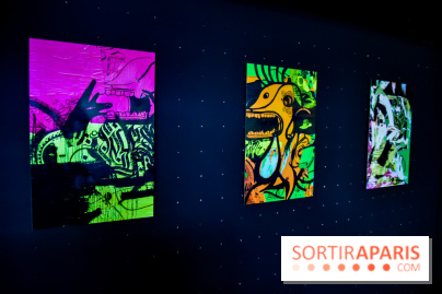 Vision d'ensemble, l'exposition à Fluctuart - nos photos