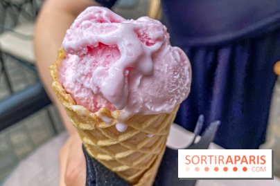 Terrasses du Novotel Paris les Halles, Jardin Privé glace