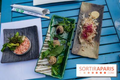 Taisho, la terrasse estivale 2020 à l'Aquarium de Paris, les photos