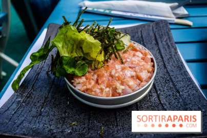 Taisho, la terrasse estivale 2020 à l'Aquarium de Paris, les photos