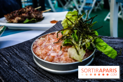 Taisho, la terrasse estivale 2020 à l'Aquarium de Paris, les photos