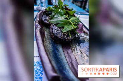 Taisho, la terrasse estivale 2020 à l'Aquarium de Paris, les photos