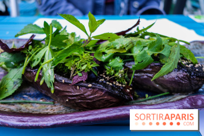 Taisho, la terrasse estivale 2020 à l'Aquarium de Paris, les photos