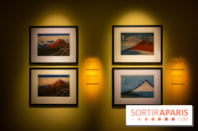 Fuji, pays de neige, l'exposition au musée Guimet - nos photos