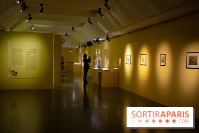 Fuji, pays de neige, l'exposition au musée Guimet - nos photos