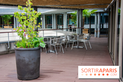 Le Musée Guimet ouvre sa terrasse estivale panoramique