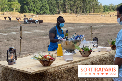 Photos du Dîner Safari du Zoo de Thoiry, apéro