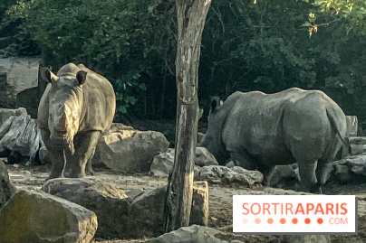 Photos du Dîner Safari du Zoo de Thoiry