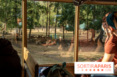 Photos du Dîner Safari du Zoo de Thoiry, camion