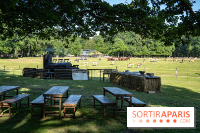 Photos du Dîner Safari du Zoo de Thoiry